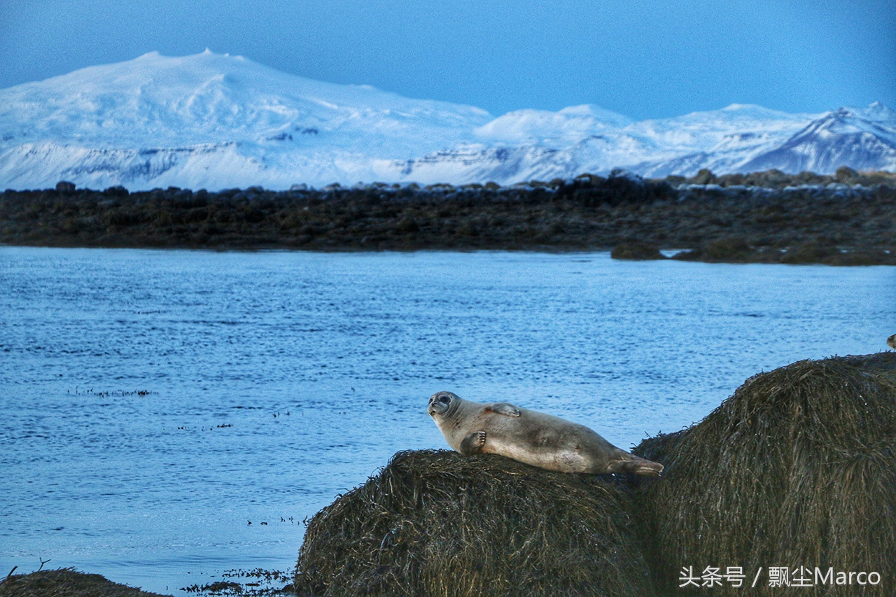 冰岛4小时,冰岛冬天怎么玩最便宜