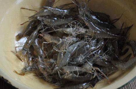 农村河里的这些小野味，你吃过吗？个个是绝品，超好吃！