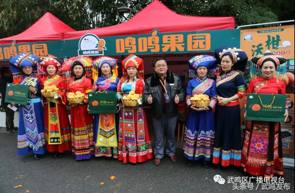 武鸣沃柑开园上市,武鸣沃柑2024发布现场