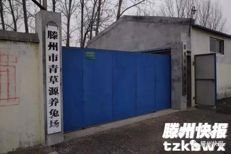 滕州有个“兔专家”，立志打造中国制造品牌