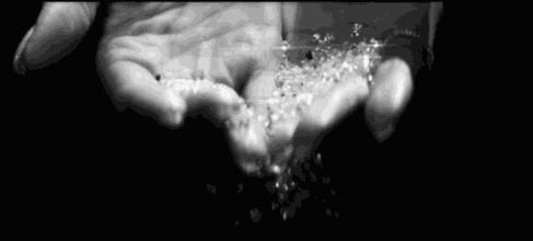 跟着袁咏仪去买世界上最贵的包包,袁咏仪最贵的包包是哪个