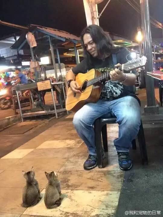 男子高速隧道提神,高速犯困夫妻在隧道提神