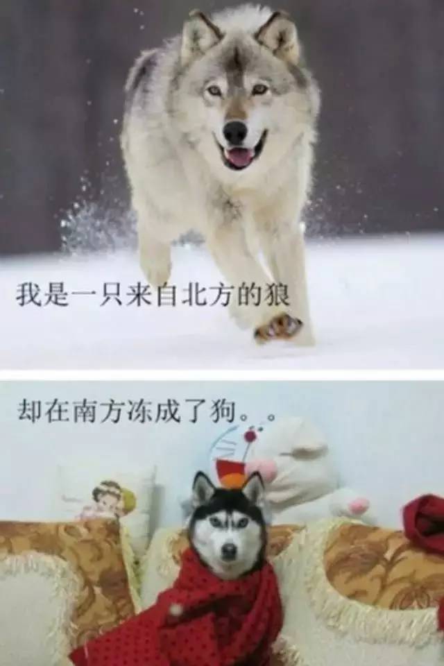 生活在苏州的真实感受,在苏州的生活体验