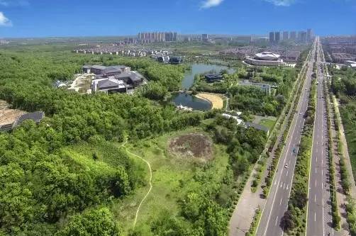 二十四节气特殊版邮票今日行情,二十四节气特殊版邮票