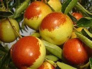 从a到z有氧,从a到z的成长