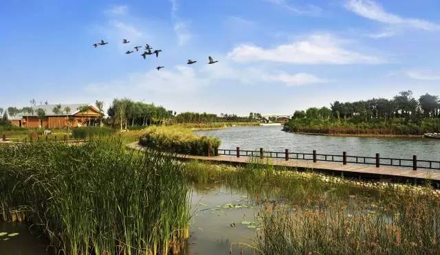 从a到z有氧,从a到z的成长