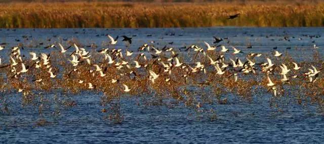 从a到z有氧,从a到z的成长