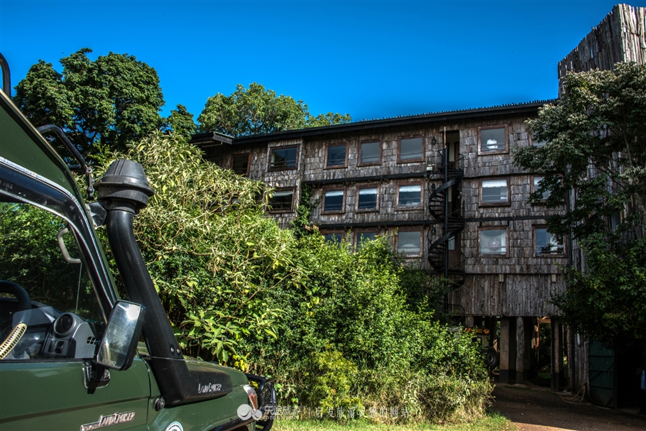 肯尼亚树顶酒店我住在了女王隔壁