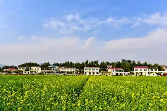 浏阳旅游景区推荐,浏阳市森林生态观光园