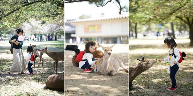 一个中国妈妈带着孩子去了美国,带孩子去日本攻略