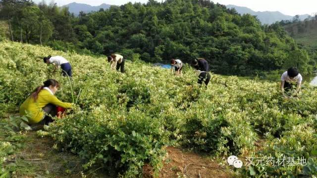 浏阳春季旅游攻略大全,浏阳旅游攻略景点必去三天