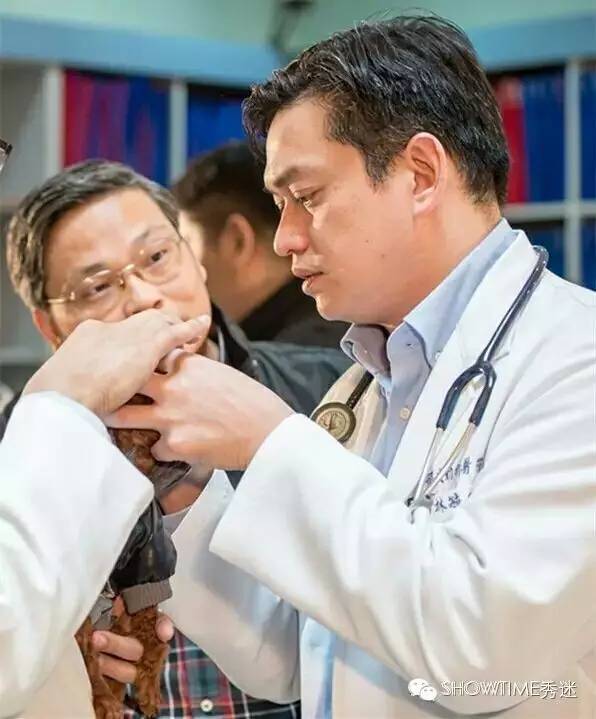 IsItTrue？未生育的狗狗比生育过的狗狗得子宫蓄脓的比例高？