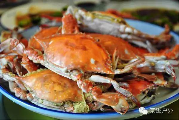 从a到z有氧,从a到z的成长