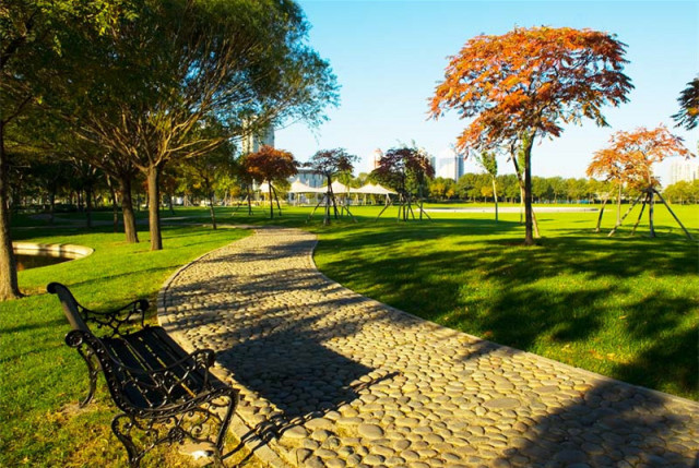 从a到z有氧,从a到z的成长