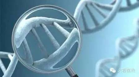 火视212|sangamo再次突破：永久治愈单基因的遗传性疾病