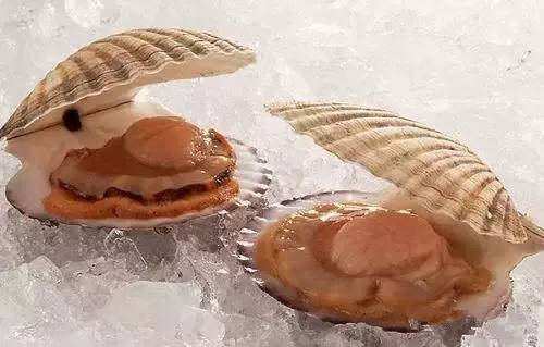 爱吃海鲜的人要关注什么,爱吃海鲜的人怎么避免痛风