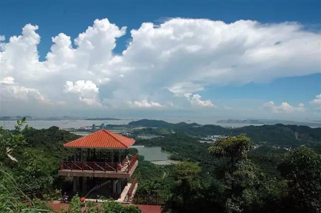 从A到Z,26个字母,看透大南沙!