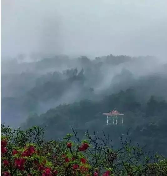 从A到Z,26个字母,看透大南沙!