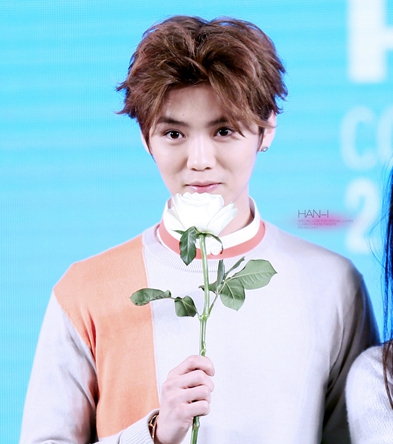 exo鹿晗事件,exo鹿晗受过的伤