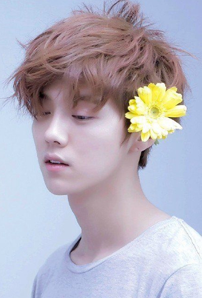 exo鹿晗事件,exo鹿晗受过的伤