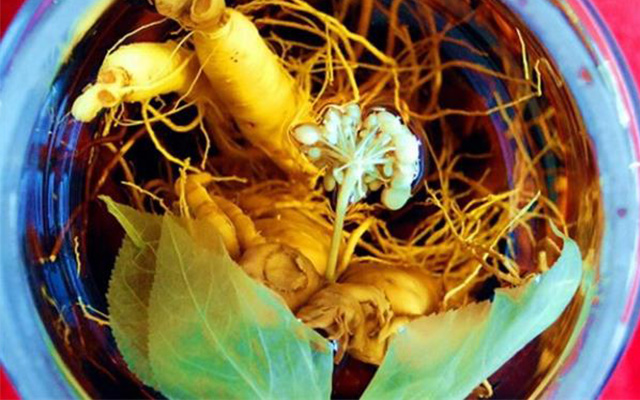 鹿茸枸杞酒泡制配方,人参枸杞酒古法泡制