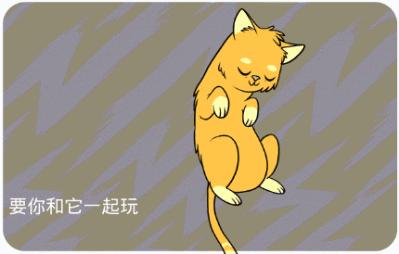 新手养猫指南铲屎官必看,铲屎官需要知道45条养猫知识科普