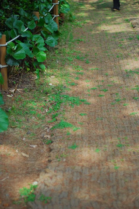 与海洋航行者号美丽邂逅（二）