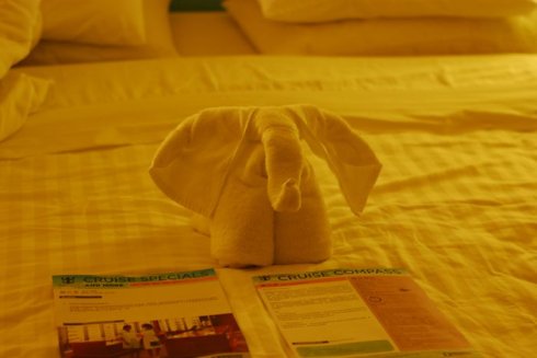 与海洋航行者号美丽邂逅（二）