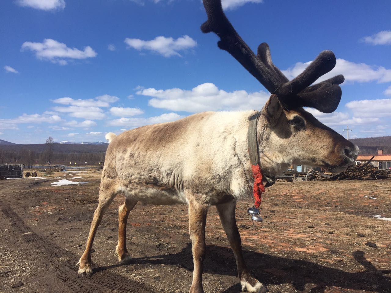 寻北路上，你需要知道的“姿势”