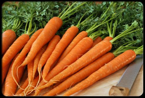 头发又少又油又塌,头发稀少吃什么补回来