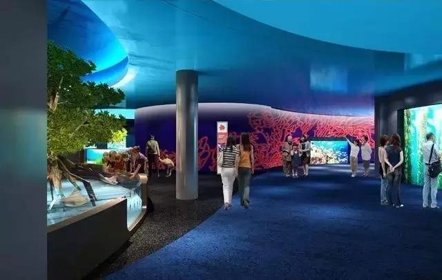 用我巨萌的强力剂，治愈你的宝宝萌化症