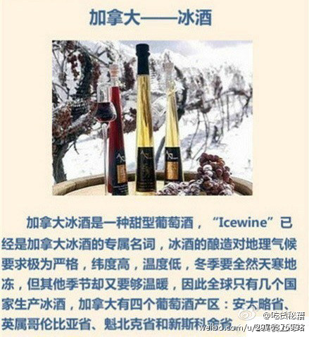 各国名酒有哪些,各国的酒王你知道吗