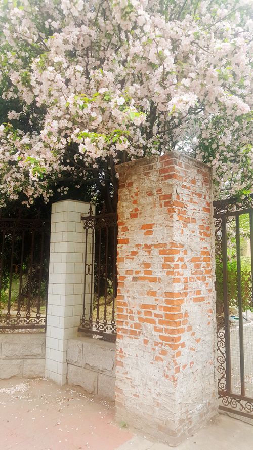 看乐亭小县城里的小市民，怎样装点生活