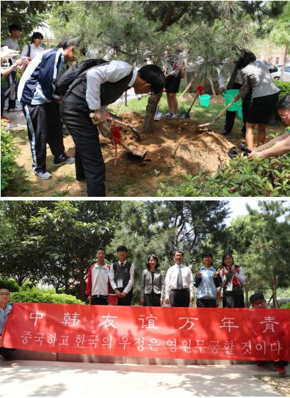 中韩文化沟通会,第十七届中韩青少年文化沟通活动