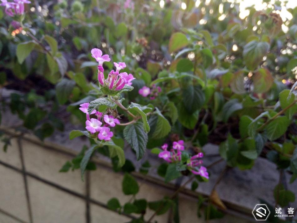 vivox6是否值得入手,vivox6怎么样值得买吗