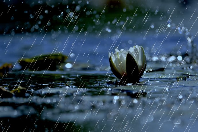 释迦牟尼佛的三十六道轮回,今天是释迦牟尼佛涅盘日吗