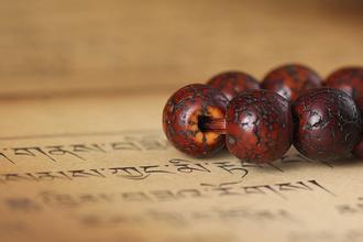 星月可以入手吗,星月有必要作假吗