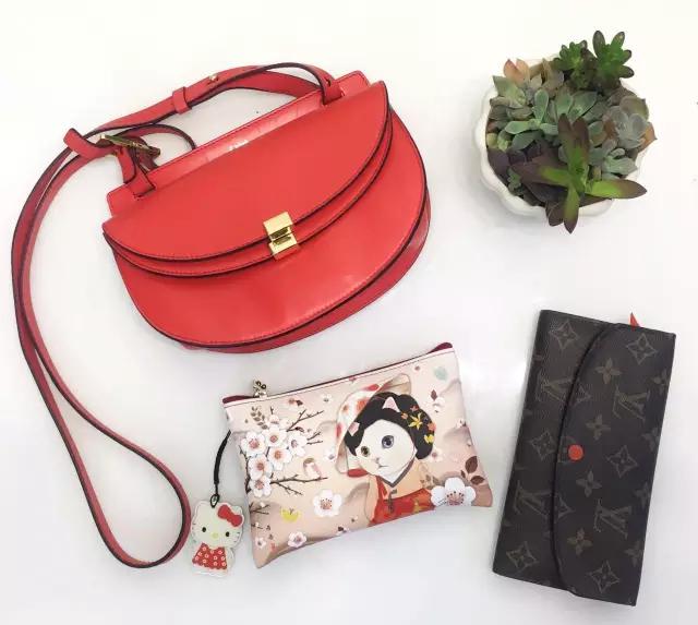 大牌包包有哪些实用耐背的,撞包的原因