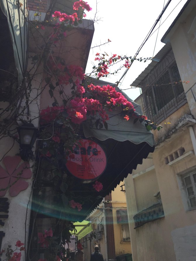 鼓浪屿自驾游全攻略,厦门鼓浪屿登岛全攻略