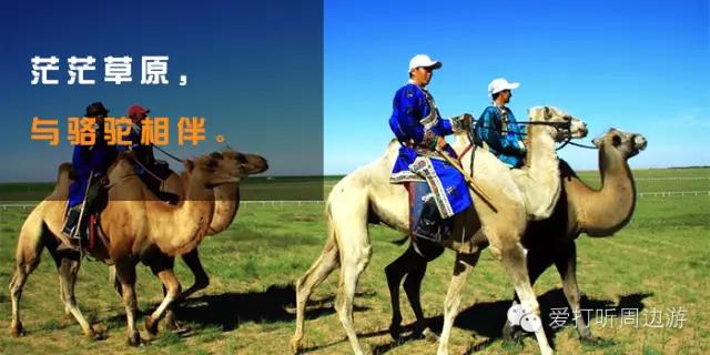 张北中都草原一日游,张北草原旅游越野