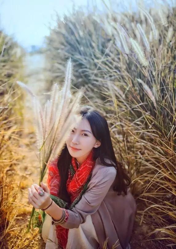 紫溪半岛,紫溪半岛花海