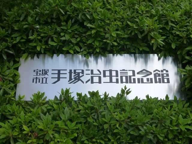 辛巴森林之王,森林之王辛巴成长之路