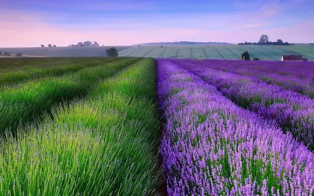 身份证450开头为什么全球免签,身份证丢了急用出国旅游怎么办