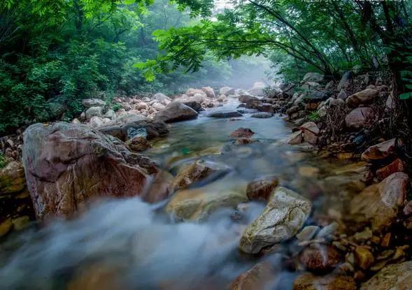 身份证450开头为什么全球免签,身份证丢了急用出国旅游怎么办