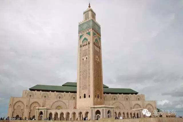 LP年度最佳三毛最爱北非后花园摩洛哥免签啦！