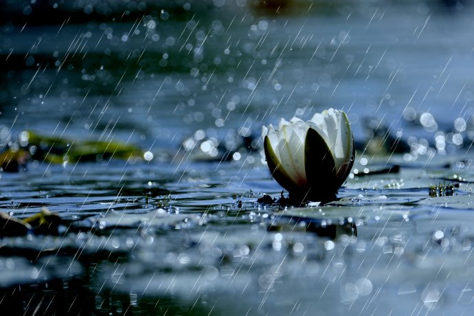 释迦牟尼佛的三十六道轮回,今天是释迦牟尼佛涅盘日吗