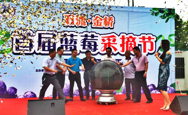 首届蓝莓采摘节,双流摘蓝莓基地