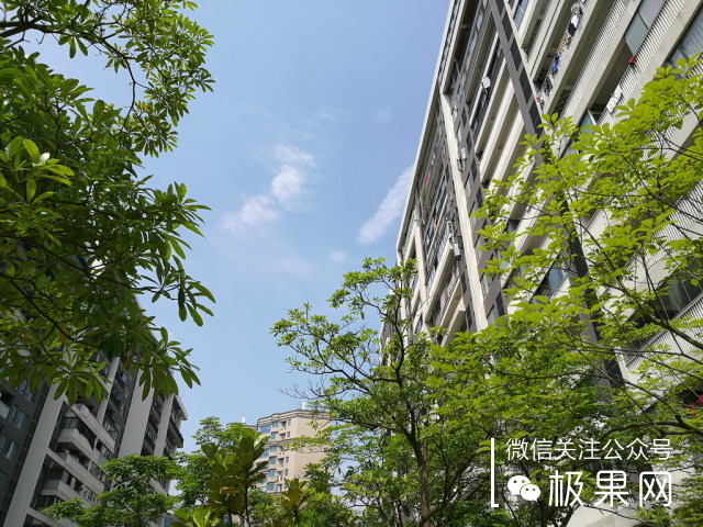 还在纠结买什么手机壳吗,还在纠结买什么东西