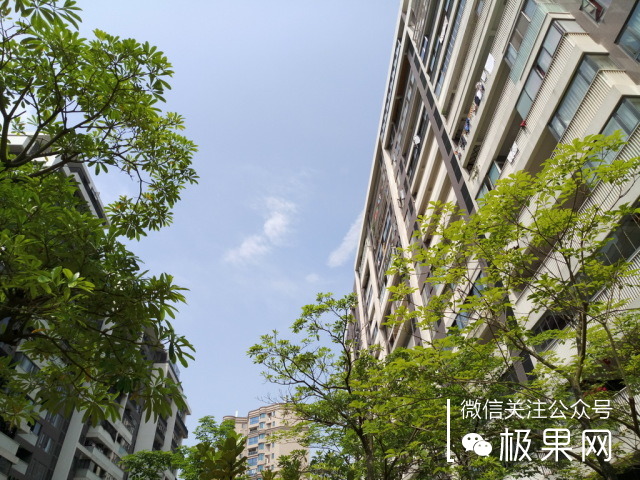 还在纠结买什么手机壳吗,还在纠结买什么东西