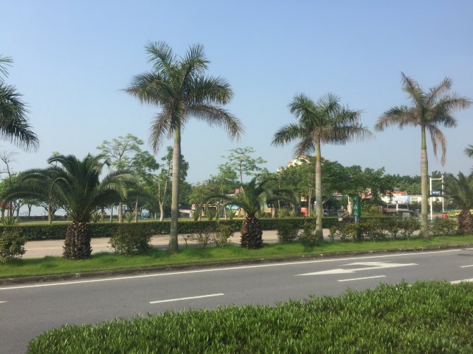 鼓浪屿自驾游全攻略,厦门鼓浪屿登岛全攻略